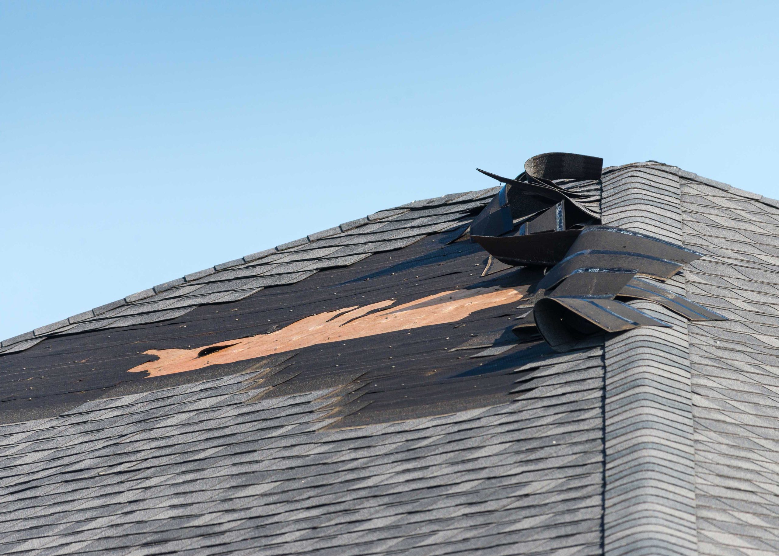 Damaged shingles on a roof